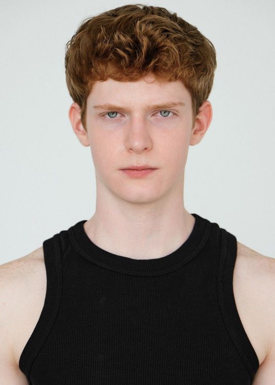 Vladimir Lebedev